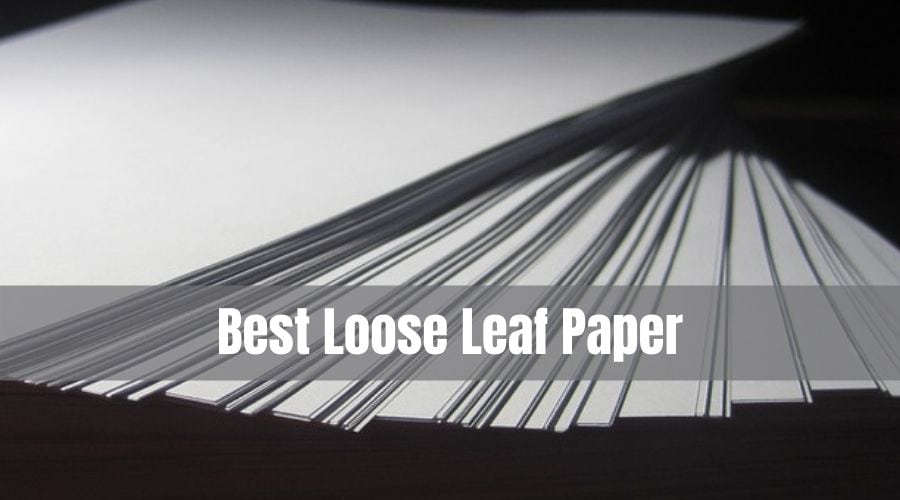 Loose Leaf Paper - PaperCanyon